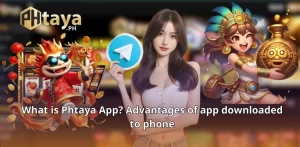 Phtaya App